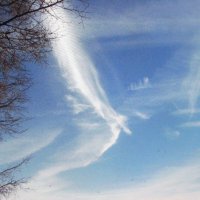 Летящее чудо :: Людмила Смородинская