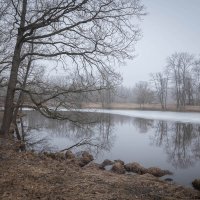 **** :: Елизавета .