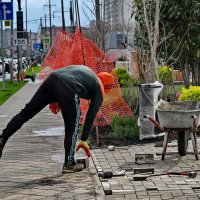 Кипит работа... :: Николай Саржанов