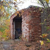 разруха :: Елена Шаламова