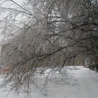 вариации на тему : ледяной день :: Елена Шаламова