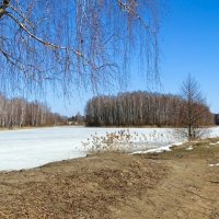Весна в конце марта. :: Милешкин Владимир Алексеевич 