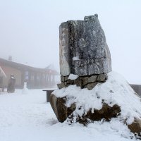 Памятник знаменитому Мише :: Татьяна Лютаева