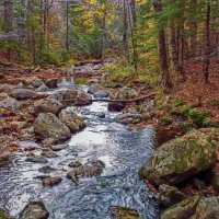 Канада :: Aleksey Afonin Канада :: Aleksey Afonin