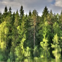 Краски водного отражения :: Сергей Сомихин