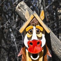 Залетайте, не бойтесь! :: Валентина *