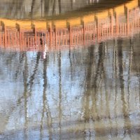 Прогулка по Яузе :: олег свирский 