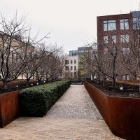 Вид на ЖК...усадьба Коншиных , вишнёвый сад и сам ЖК :: Анатолий Колосов