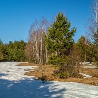 На исходе марта 3 :: Андрей Дворников