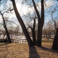 ***** :: юрий поляков