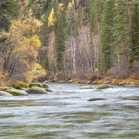 Горная река в Бурятии Ихэ-Ухгунь (большая вода) :: Сергей Герасимов