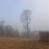 *** :: Сергей Григорьев