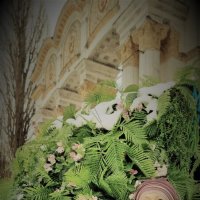 Масляница :: Лана 