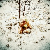 ЛЕСНАЯ ИСТОРИЯ :: HART BAD ЛЕСНАЯ ИСТОРИЯ :: HART BAD