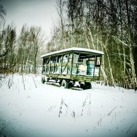 ЛЕСНАЯ ИСТОРИЯ :: HART BAD