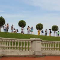 Много гостей :: Владимир Соколов (svladmir)