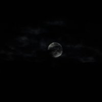 Ночные приветы )) :: Анна Камс