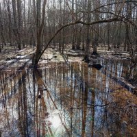 Завтра был апрель :: Андрей Лукьянов