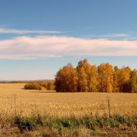 Поле,русское поле... :: nadyasilyuk Вознюк