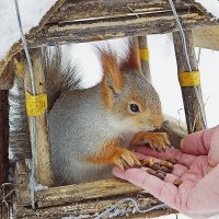 Доверие :: Галина Нестратова