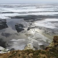 Немного солнца в холодной воде :: Natali 