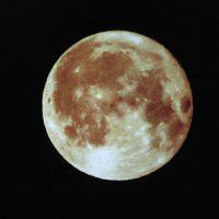 Полнолуние :: Людмила Смородинская