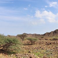 В горах ОАЭ :: Галина Ильясова