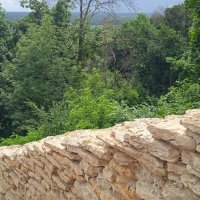 Рамонь :: Елена Шаламова Рамонь :: Елена Шаламова