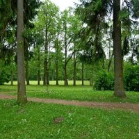 ГАТЧИНА, природа. :: Виктор Осипчук