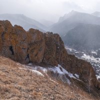 Красный гребень :: Марина Фомина.