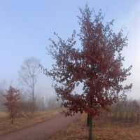 *** :: Сергей Григорьев