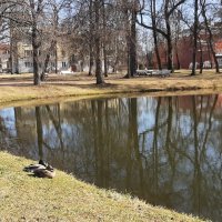 Вот и апрель пришел... :: Наталья Герасимова