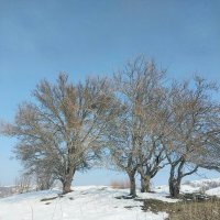 Ак Булак. Талгар. :: Murat Bukaev 