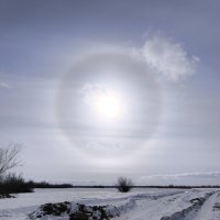 Весна :: Anna Ivanova