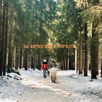 На Вятке все в порядке) :: Татьяна 