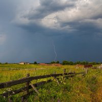 Летняя гроза :: Crazy Bee Летняя гроза :: Crazy Bee