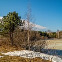 На исходе марта 5 :: Андрей Дворников