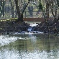 Весна :: Светлана Тихонина