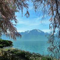 Озеро Леман :: Галина Озеро Леман :: Галина