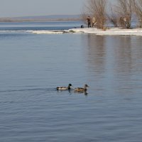 Прощай,  Зима... Эпизод 2. :: Алекс Б-в