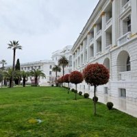 СОЧИ :: Tata Wolf