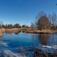 *** :: Геннадий Порохов