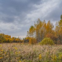 В поле... :: Владимир Жданов
