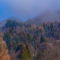 Туман утром :: Георгий А