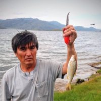 Клюнул,чебачек... :: Георгиевич 