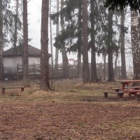 У кафе на обочине :: Валерий Иванович У кафе на обочине :: Валерий Иванович