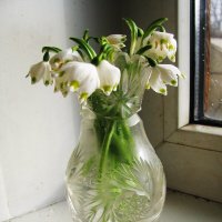 Весенний букетик :: Людмила Смородинская