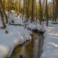 Мартовский ручей :: Сергей Цветков Мартовский ручей :: Сергей Цветков