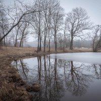 **** :: Елизавета .