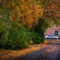 *   *   * :: Уже не важно ...